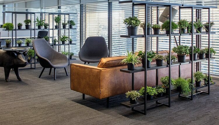 the-importance-of-greenery-in-offices-and-factories